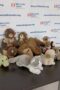 Lotto di 10 Peluches Trudi