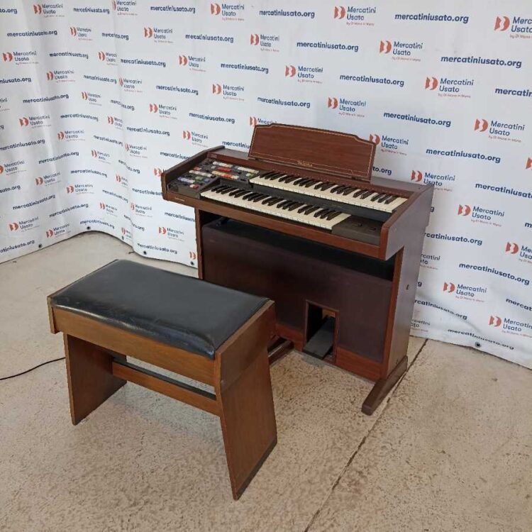 Organo elettronico Technics PCM Sound E18L